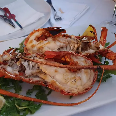 Santa Maria Hvar With Jacuzzi *