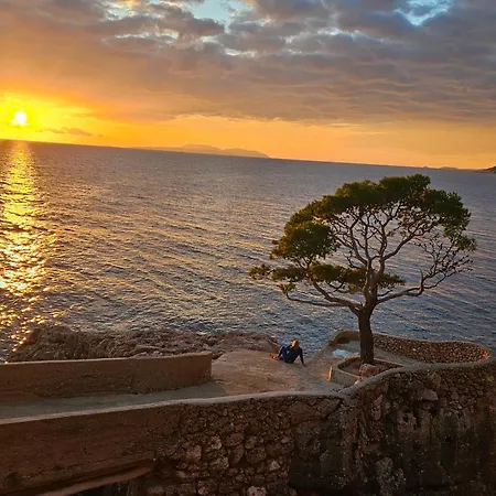 Santa Maria Hvar With Jacuzzi Lejlighed *