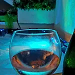 Apartamento Santa Maria Hvar With Jacuzzi Jelsa (Hvar)