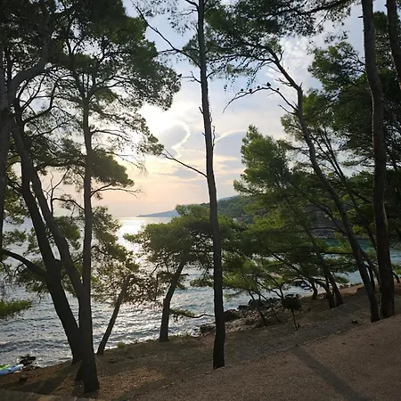 Apartamento Santa Maria Hvar With Jacuzzi