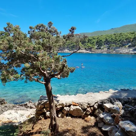 Apartamento Santa Maria Hvar With Jacuzzi