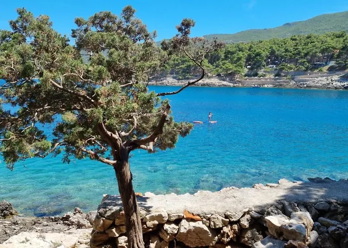 شقة Santa Maria Hvar With Jacuzzi